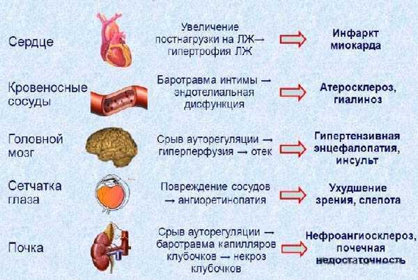 Дальнева от повышенного давления: инструкция по применению