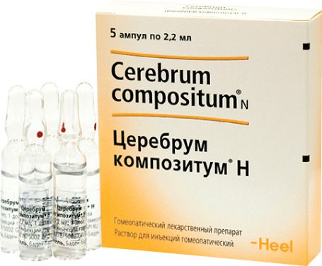 Гепар сульфур. показания к применению в гомеопатии, инструкция, противопоказания, цена и отзывы