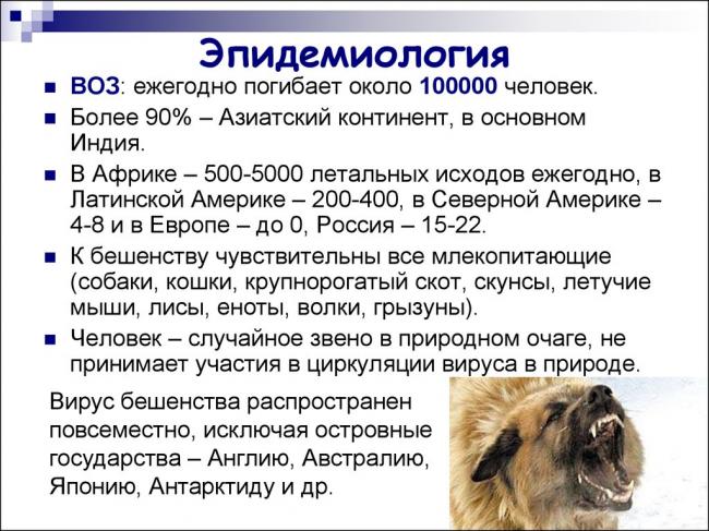 Бешенство - симптомы и лечение