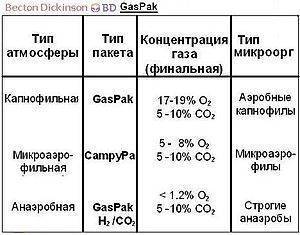 Анаэробы