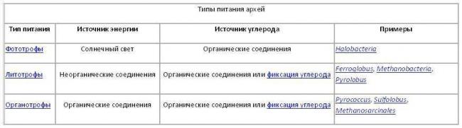 Жизнь на планете всем обязана анаэробным и аэробным бактериям