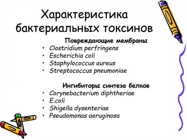 Свойства и особенности токсинов бактерий