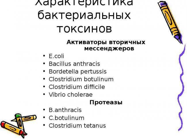 Свойства и особенности токсинов бактерий