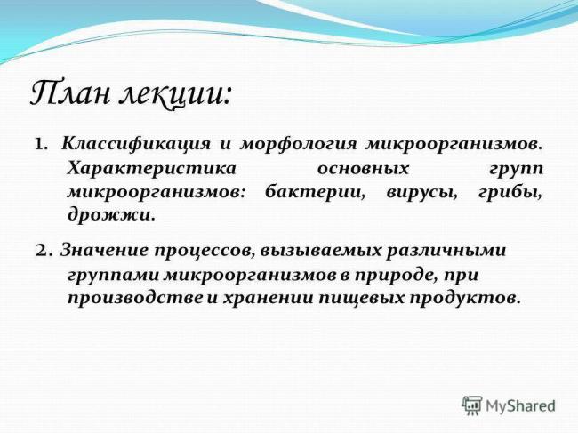 Биология: выберите номера с правильными суждениями. бактерии – одноклеточные организмы. бактерии...