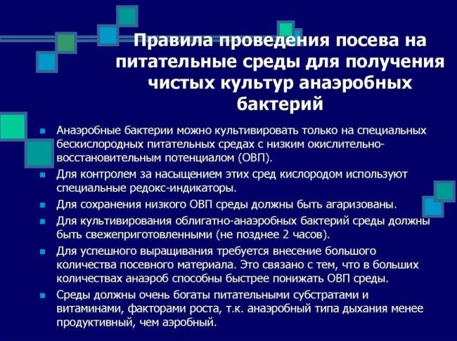 Анаэроб