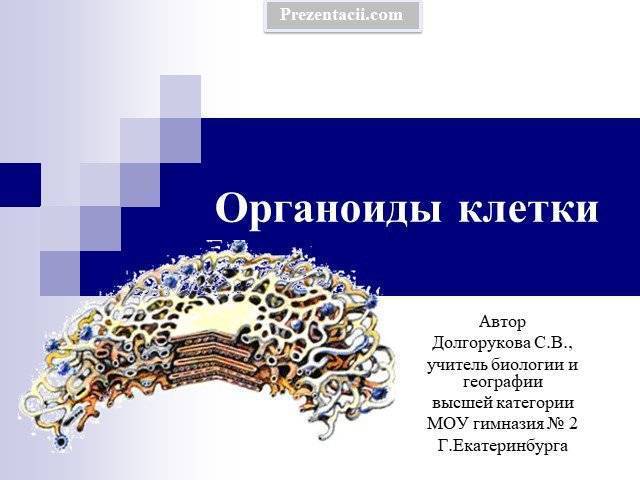 Определяющее значение ворсинок-фимбрий