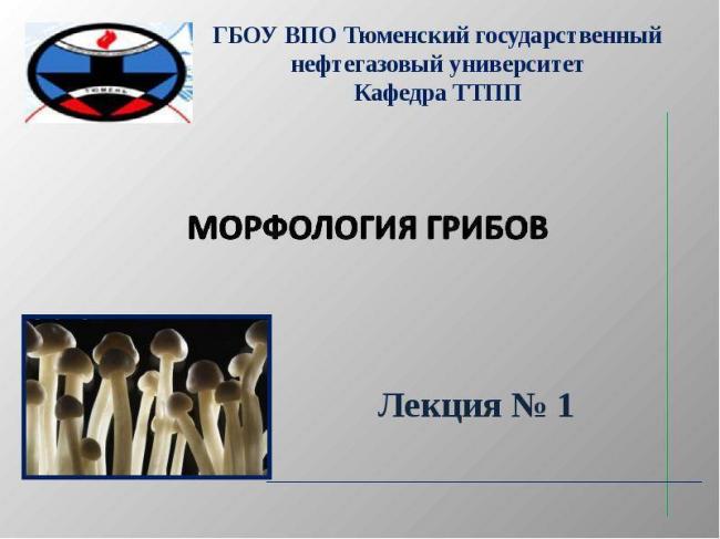 Одноклеточные организмы: список, кто открыл, в каких средах обитают одноклеточные организмы, примеры одноклеточных эукаритов, водорослей, грибов, виды простейших