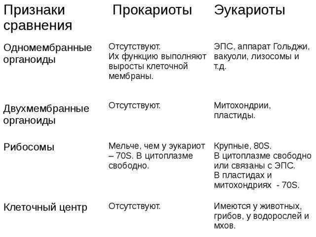 Новые открытия в строении клеток прокариот: что бактериальные клетки имеют в своем составе?