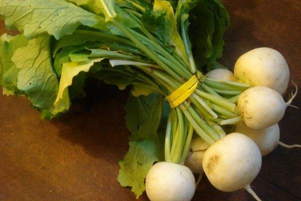 Какая польза репы с медом
