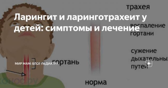 Ларингит трахеит лечение у взрослых | советы доктора