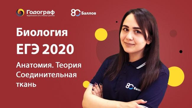 Соединительная ткань – сигнальная система всего тела
