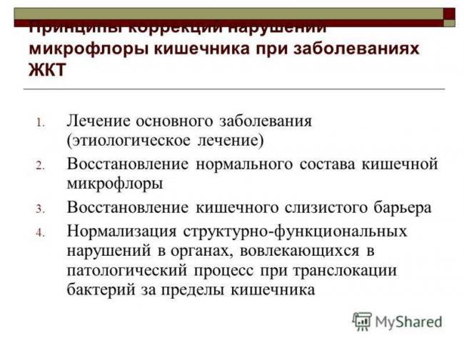 Лучшие продукты для здоровой микрофлоры кишечника