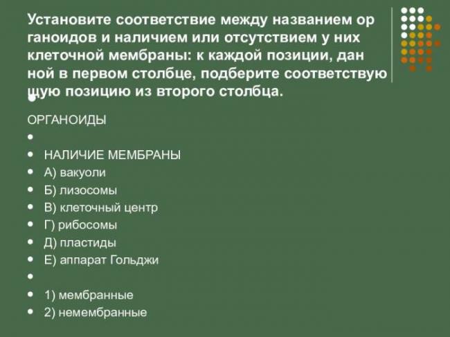 Разнообразие форм и механизмов движения бактерий