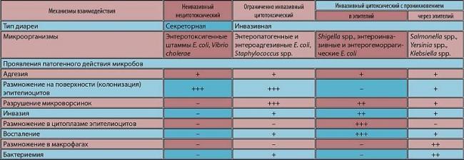 Протеус мирабилис в мазке, посеве или кале
