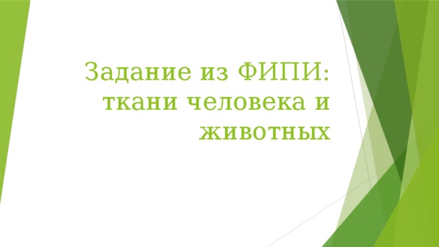 Соединительная ткань – сигнальная система всего тела