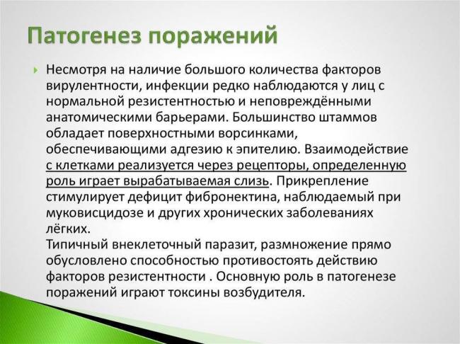 Симптомы и лечение заболеваний, вызванных синегнойной палочкой у детей и взрослых