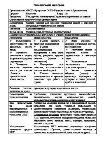 Имеют ли бактерии ядро, или особенности строения прокариотических клеток