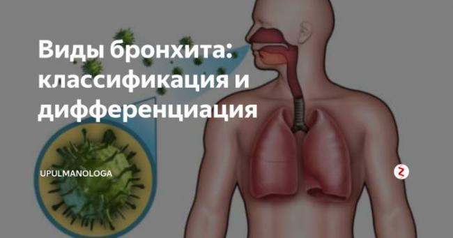 Виды и причины хронического бронхита, симптомы и методы лечения заболевания