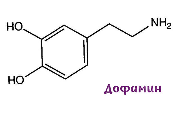 Что такое грелин, гормон голода
