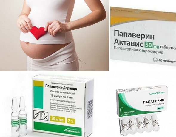 Для чего назначают «папаверин» при беременности и как его применять?