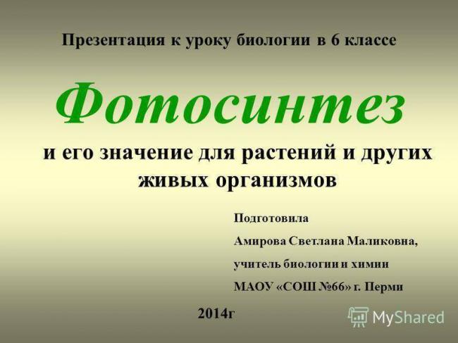 Фотосинтез кратко и понятно