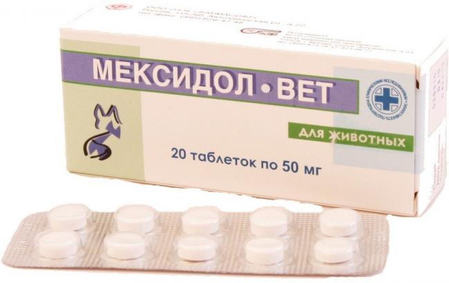 Все о лекарственном препарате мексидол