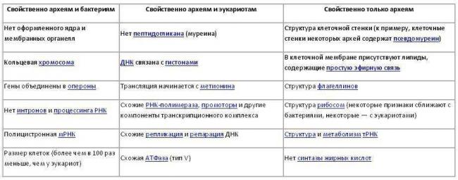Бактерии – незаметные труженики, без которых невозможна жизнь на земле: каково их значение в природе?