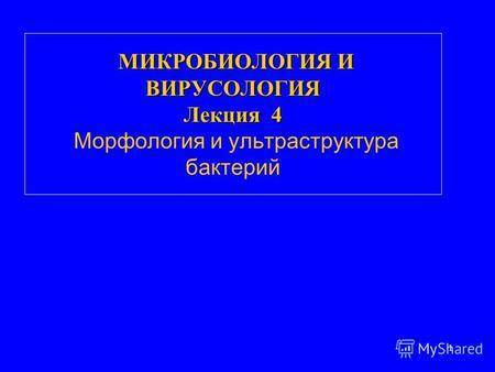 Строение и классификация простейших одноклеточных организмов