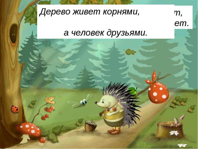 Болезнетворные бактерии — паразиты человека. где живут? какие вызывают болезни?