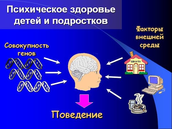 Как меняются с возрастом когнитивные функции человека?