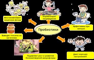 Бактерии вокруг нас