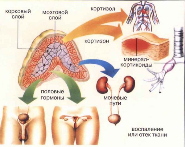 Как стресс влияет на организм