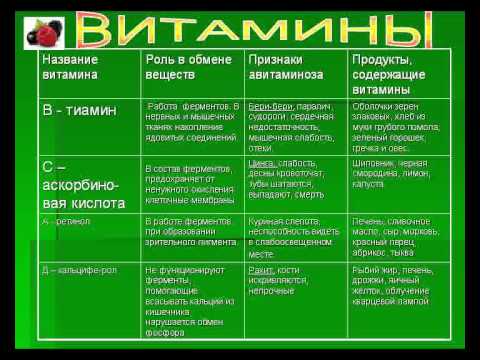 Урок 3. состав пищи. самое важное о витаминах и микроэлементах