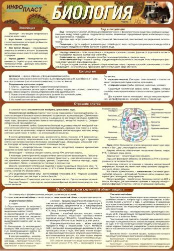 Строение бактерий
