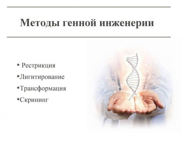Генная инженерия