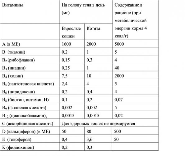 Полезные витамины: значение и роль для организма человека