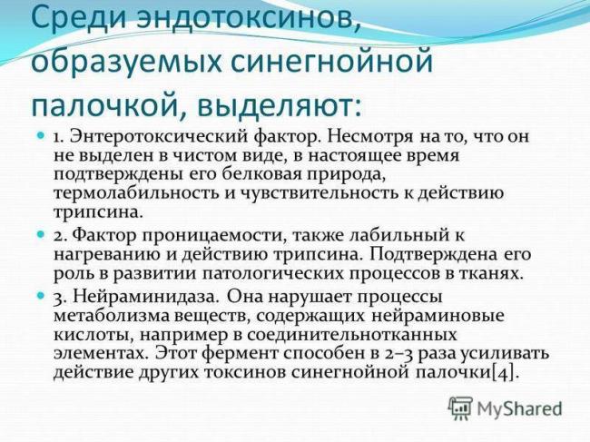 Синегнойная палочка — симптомы и лечение в домашних условиях, как передается палочка?