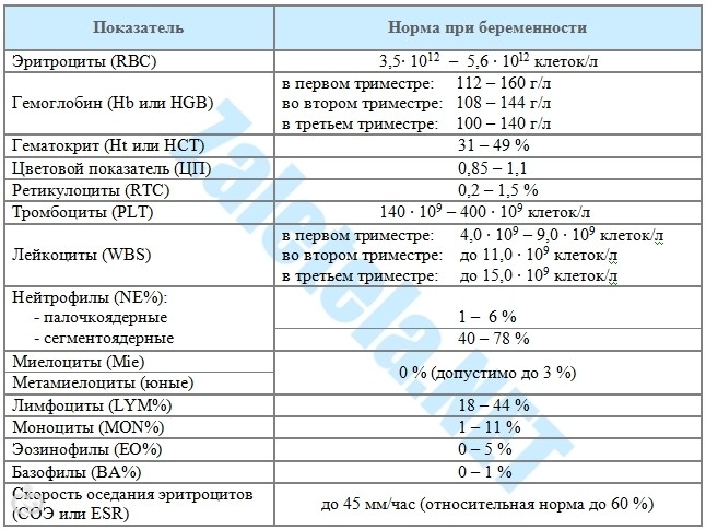 Лимфоцитоз в крови: причины, симптомы, методы лечения