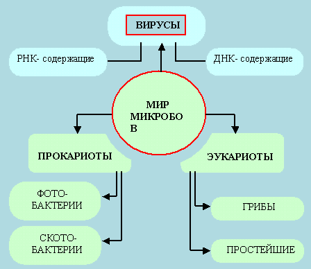 Патогенные или болезнетворные микроорганизмы – причина инфекционных заболеваний
