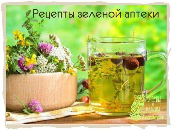 Лечим кашель при помощи сиропа подорожника