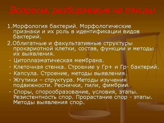 Строение и классификация простейших одноклеточных организмов