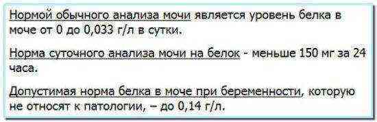 Высокое содержание микроальбумина в моче — ранний показатель нефропатии