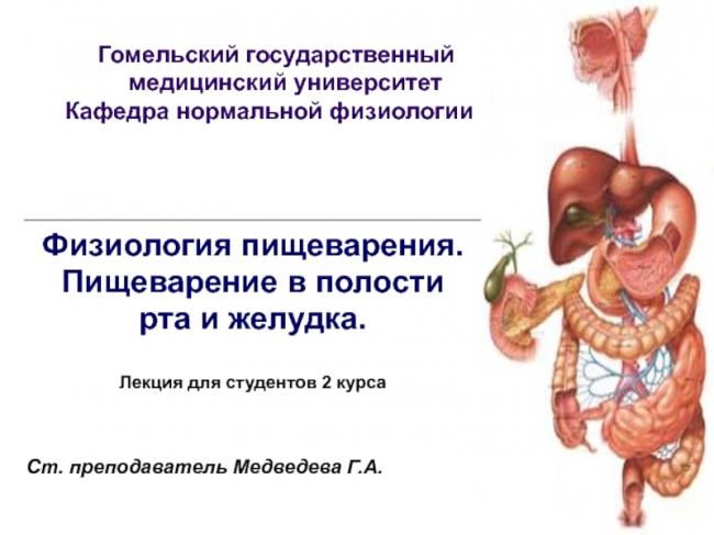 Лучшие продукты для снижения аппетита