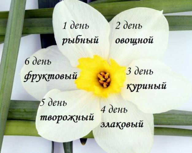 Апельсиновая диета для похудения: 10 кг за неделю в домашних условиях и можно ли есть куриную грудку