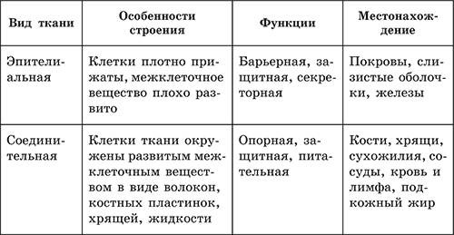 Соединительная ткань — большая медицинская энциклопедия