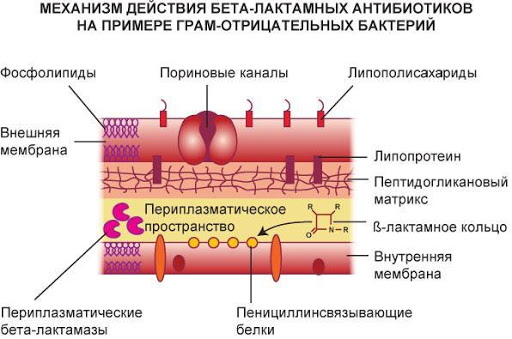 Супракс и супракс солютаб