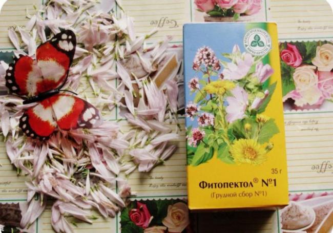 Как заварить подорожник от кашля взрослому