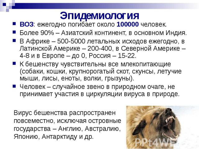 Бешенство у людей: симптомы, лечение, профилактика