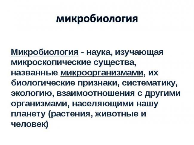 Одноклеточные организмы — список с названиями и примерами