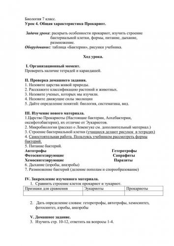 Чего не имеет бактериальная клетка